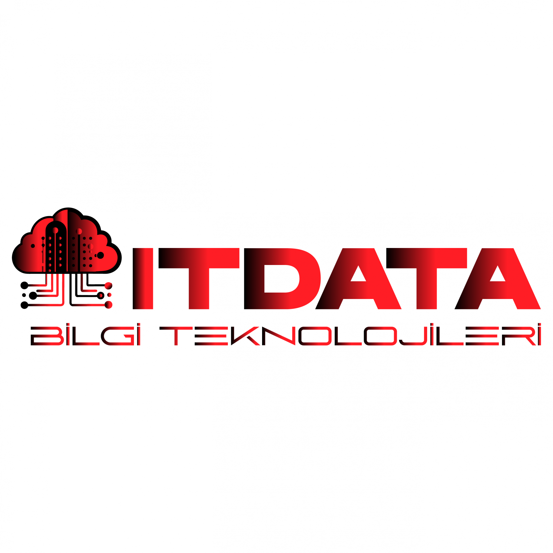 ITDATA BİLGİ TEKNOLOJİLERİ